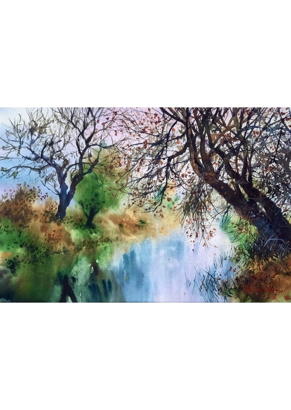 Reflejos en el rio