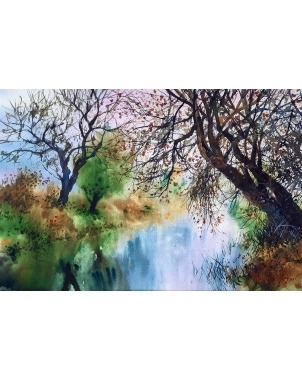 Reflejos en el rio