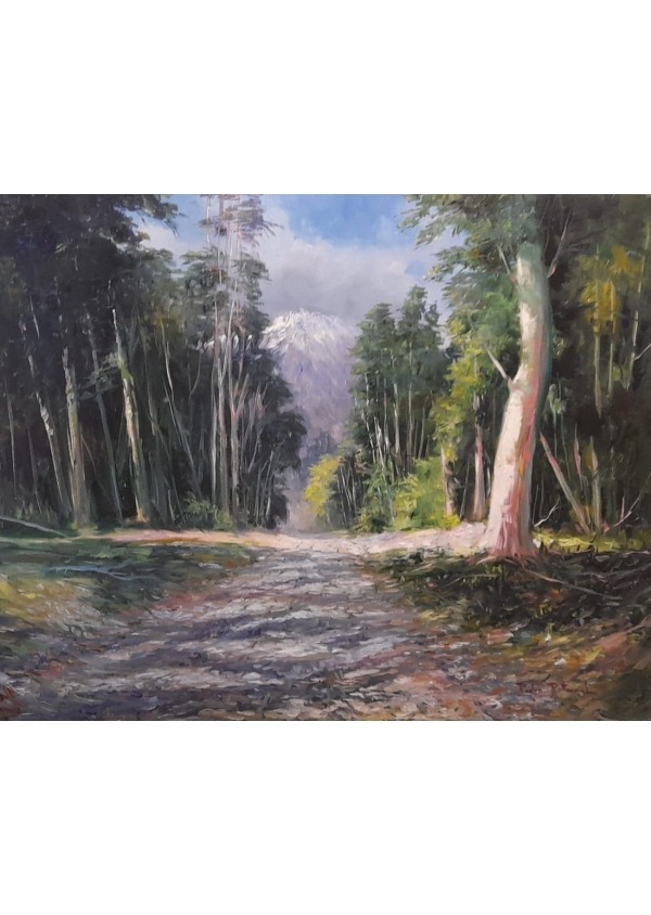 Carretera Austral