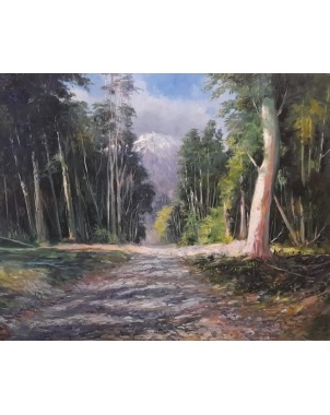 Carretera Austral