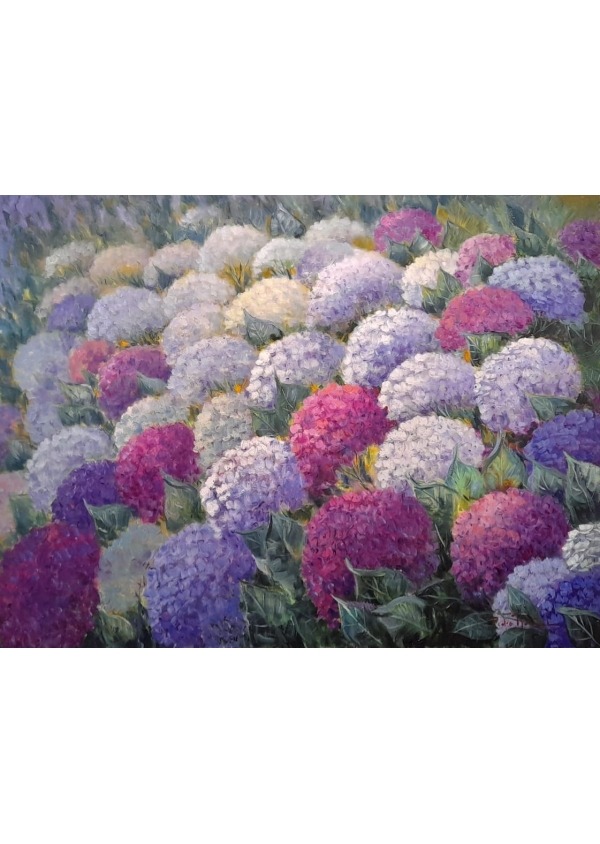 Hortensias en el jardín