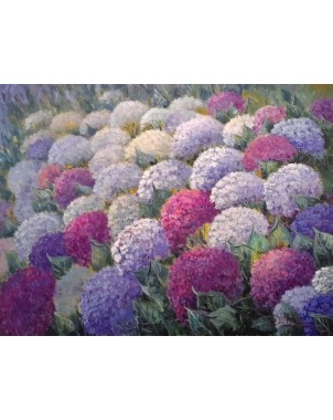 Hortensias en el jardín
